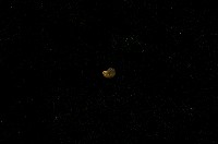 藏品(微小螺)的圖片